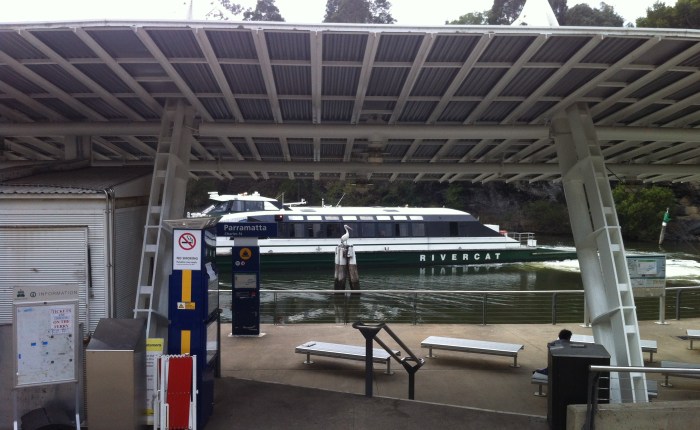 Il pellicano e lo scrittore